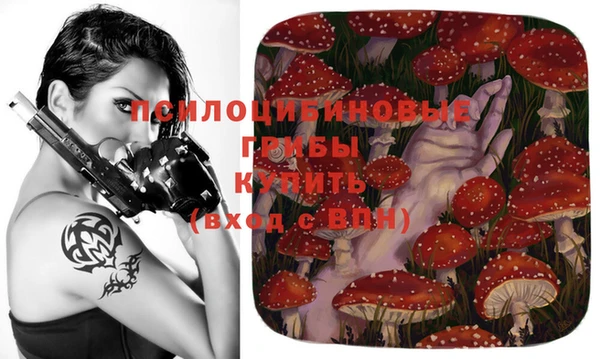 не бодяженный Нефтегорск