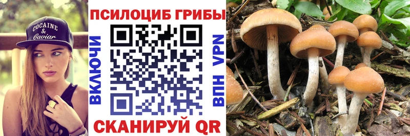 Псилоцибиновые грибы Psilocybine cubensis  Купить где  Геленджик 